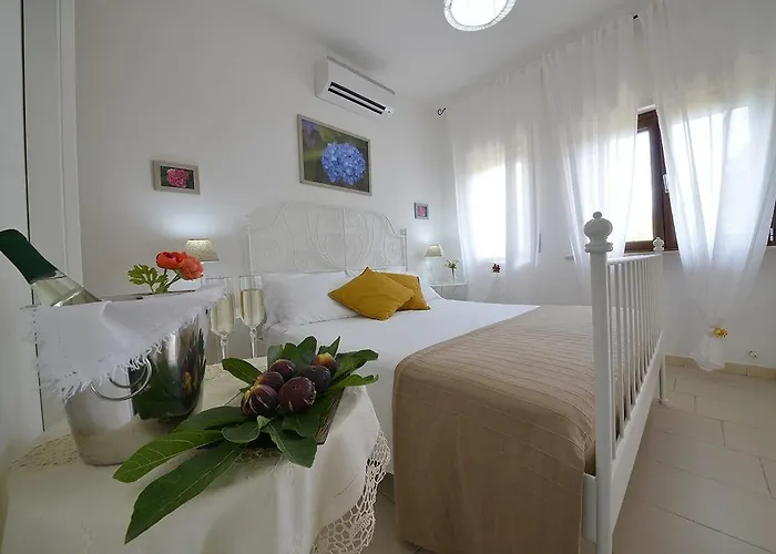 Pacifica מלון 3*